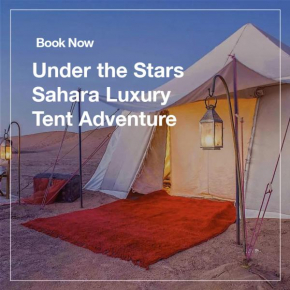 Berber Oasis Tours Guest House